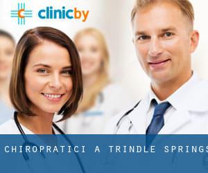 Chiropratici a Trindle Springs