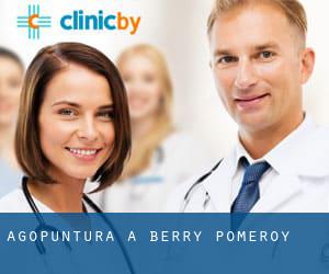 Agopuntura a Berry Pomeroy