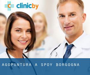 Agopuntura a Spoy (Borgogna)