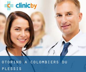 Otorino a Colombiers-du-Plessis