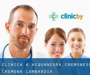 clinica a Acquanegra Cremonese (Cremona, Lombardia)