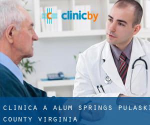clinica a Alum Springs (Pulaski County, Virginia)