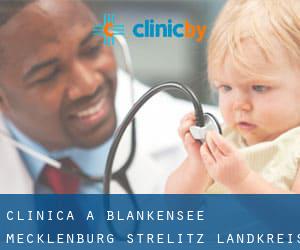clinica a Blankensee (Mecklenburg-Strelitz Landkreis, Meclemburgo-Pomerania Anteriore)