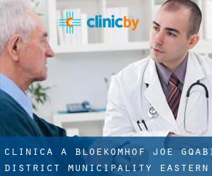 clinica a Bloekomhof (Joe Gqabi District Municipality, Eastern Cape)