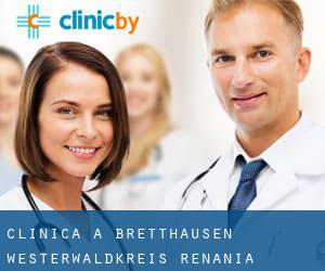 clinica a Bretthausen (Westerwaldkreis, Renania-Palatinato)