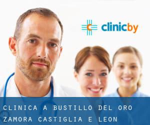clinica a Bustillo del Oro (Zamora, Castiglia e León)