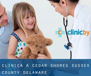 clinica a Cedar Shores (Sussex County, Delaware)