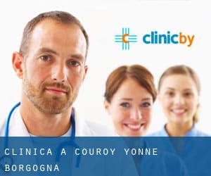 clinica a Couroy (Yonne, Borgogna)