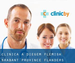 clinica a Diegem (Flemish Brabant Province, Flanders)