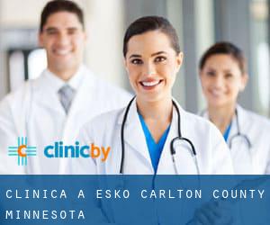 clinica a Esko (Carlton County, Minnesota)