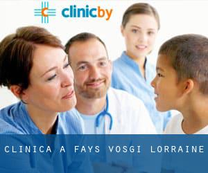 clinica a Fays (Vosgi, Lorraine)