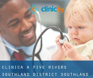 clinica a Five Rivers (Southland District, Southland)