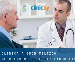 clinica a Groß Miltzow (Mecklenburg-Strelitz Landkreis, Meclemburgo-Pomerania Anteriore)