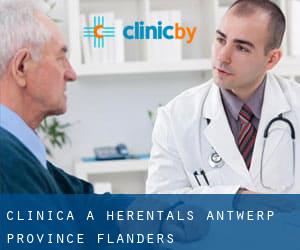 clinica a Herentals (Antwerp Province, Flanders)