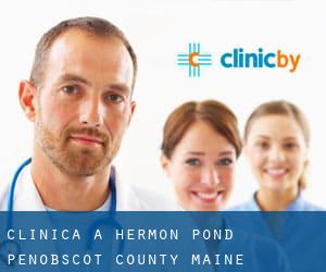 clinica a Hermon Pond (Penobscot County, Maine)