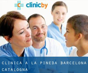 clinica a La Pineda (Barcelona, Catalogna)