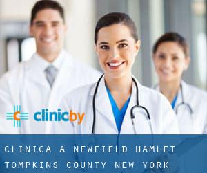 clinica a Newfield Hamlet (Tompkins County, New York)