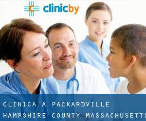 clinica a Packardville (Hampshire County, Massachusetts)