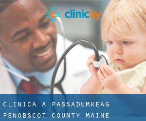clinica a Passadumkeag (Penobscot County, Maine)