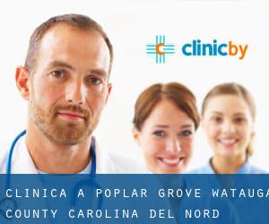 clinica a Poplar Grove (Watauga County, Carolina del Nord)