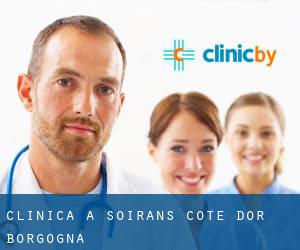 clinica a Soirans (Cote d'Or, Borgogna)