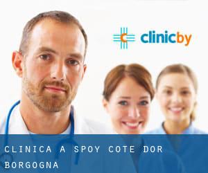 clinica a Spoy (Cote d'Or, Borgogna)