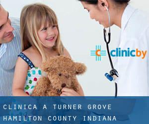clinica a Turner Grove (Hamilton County, Indiana)
