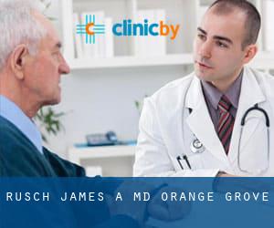 Rusch James A MD (Orange Grove)